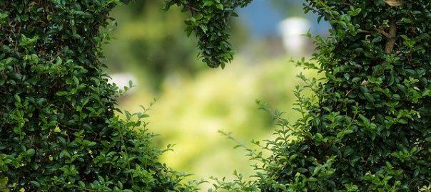 Happy Valentine's Day